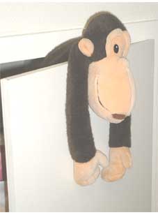 Monkey's hangout hideout